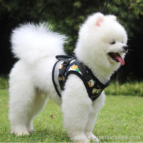 2021 luxury cartoon reflective designers dog harness